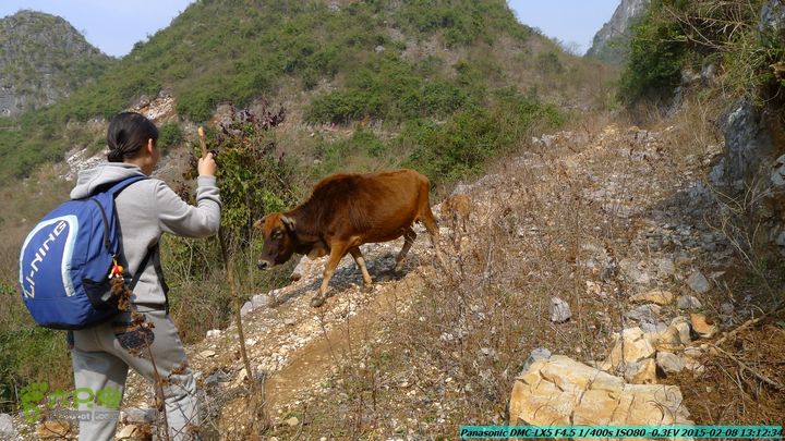 20150208-暗嵅-黎家-虾嵅-潜经-竹江-(户外情缘)P1030662