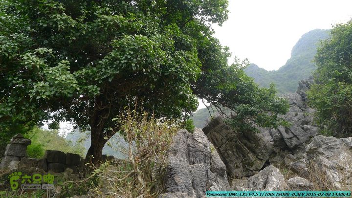 20150208-暗嵅-黎家-虾嵅-潜经-竹江-(户外情缘)P1030681