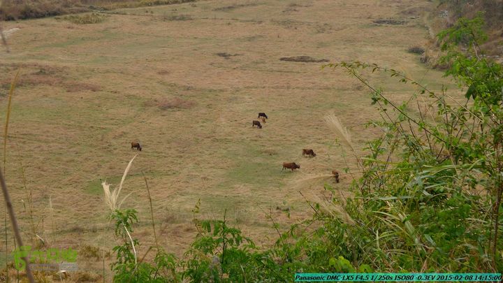 20150208-暗嵅-黎家-虾嵅-潜经-竹江-(户外情缘)P1030683
