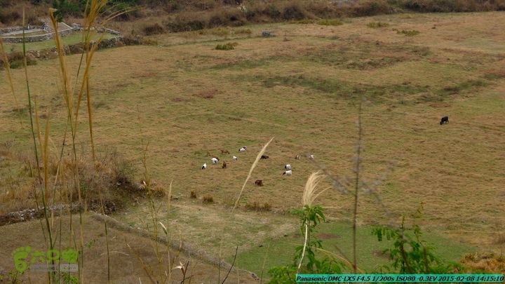 20150208-暗嵅-黎家-虾嵅-潜经-竹江-(户外情缘)P1030684