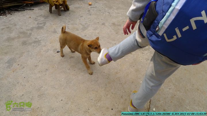 20150208-暗嵅-黎家-虾嵅-潜经-竹江-(户外情缘)P1030730
