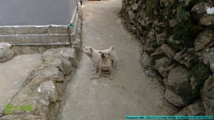 20150208-暗嵅-黎家-虾嵅-潜经-竹江-(户外情缘)P1030735