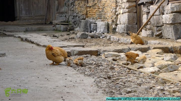 20150208-暗嵅-黎家-虾嵅-潜经-竹江-(户外情缘)P1030738