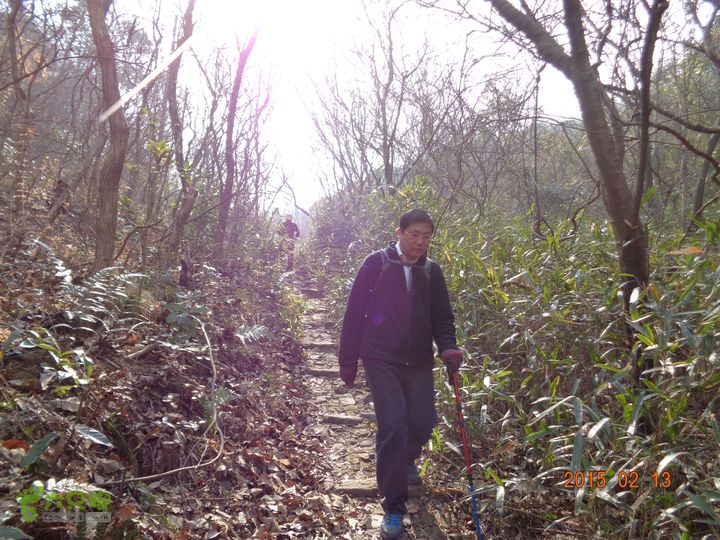 藤岭美女山-岭墩-芝岭-大雷-同山DSC01415