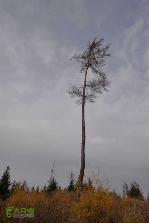 神池国家级登山健身步道DSC_3951
