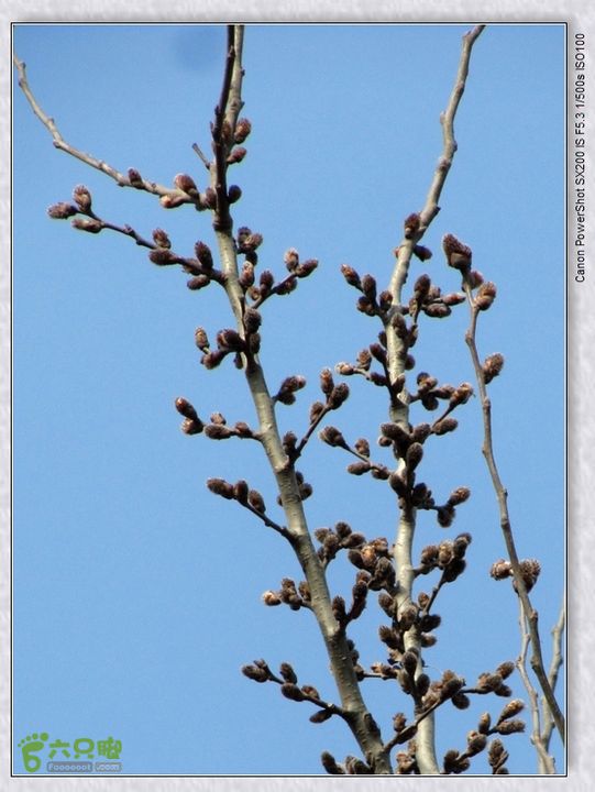 观览nEO_IMG_nEO_IMG_2015.2.22 浐河-杜陵 