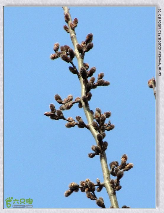 观览nEO_IMG_nEO_IMG_2015.2.22 浐河-杜陵 