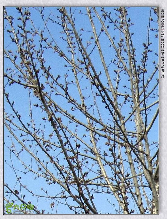 观览nEO_IMG_nEO_IMG_2015.2.22 浐河-杜陵 