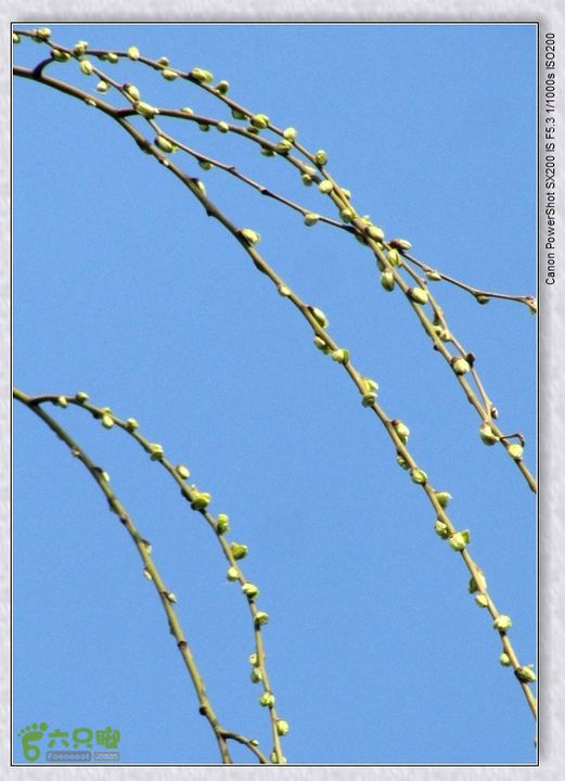 观览nEO_IMG_nEO_IMG_2015.2.22 浐河-杜陵 