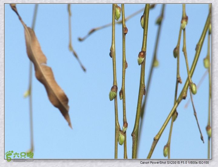 观览nEO_IMG_nEO_IMG_2015.2.22 浐河-杜陵 