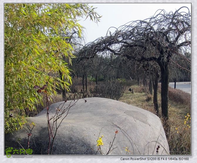 观览nEO_IMG_nEO_IMG_2015.2.22 浐河-杜陵 