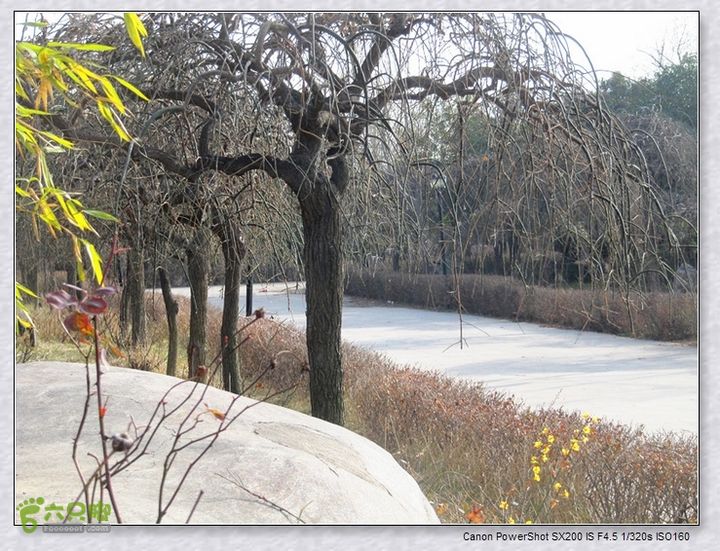 观览nEO_IMG_nEO_IMG_2015.2.22 浐河-杜陵 