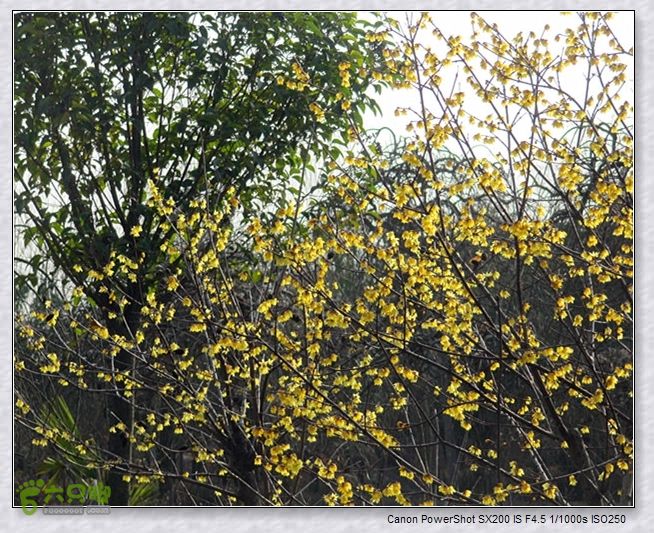 观览nEO_IMG_nEO_IMG_2015.2.22 浐河-杜陵 