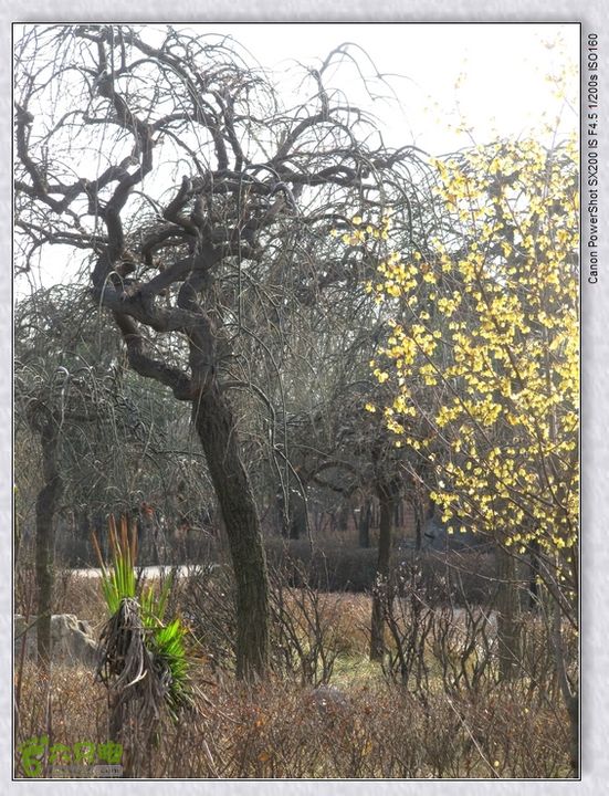 观览nEO_IMG_nEO_IMG_2015.2.22 浐河-杜陵 