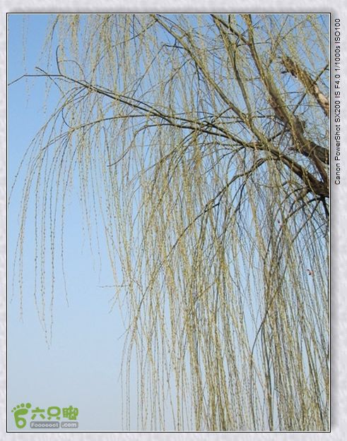 观览nEO_IMG_nEO_IMG_2015.2.22 浐河-杜陵 