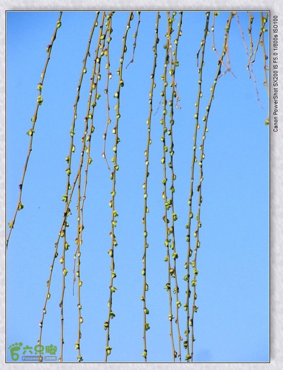 观览nEO_IMG_nEO_IMG_2015.2.22 浐河-杜陵 