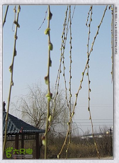 观览nEO_IMG_nEO_IMG_2015.2.22 浐河-杜陵 