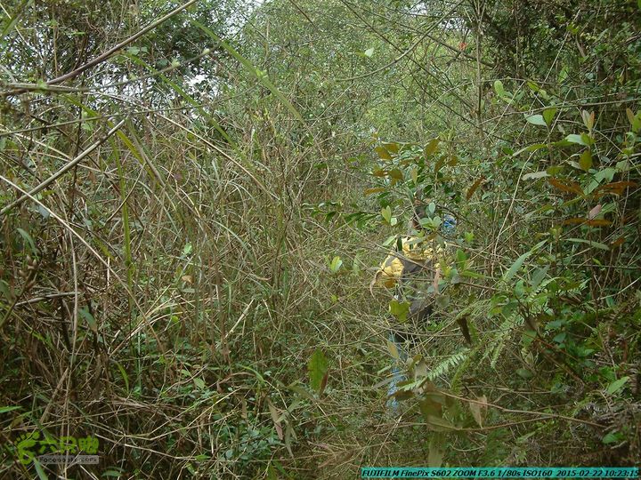 20150222-灵川-凤凰岭-狮子山-潭下镇（户外情缘）DSCF0026