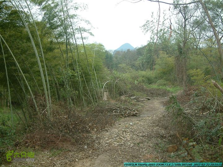 20150222-灵川-凤凰岭-狮子山-潭下镇（户外情缘）DSCF0029