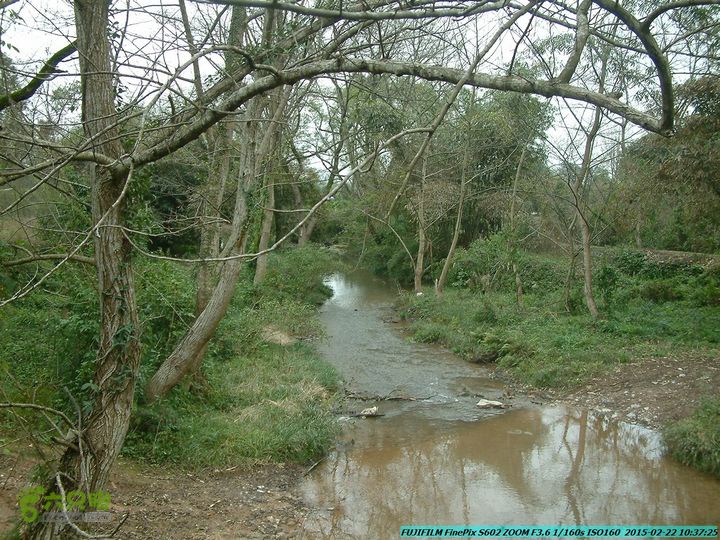 20150222-灵川-凤凰岭-狮子山-潭下镇（户外情缘）DSCF0032