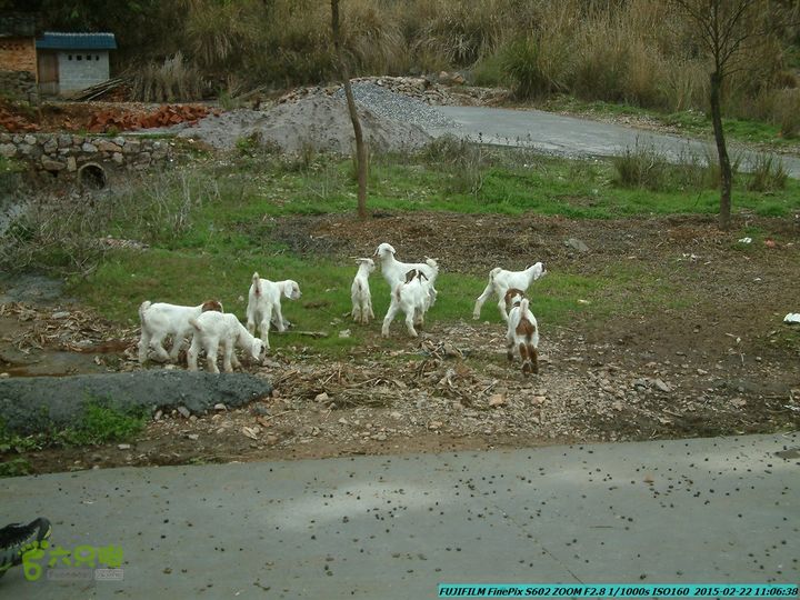 20150222-灵川-凤凰岭-狮子山-潭下镇（户外情缘）DSCF0043