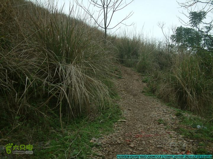 20150222-灵川-凤凰岭-狮子山-潭下镇（户外情缘）DSCF0044