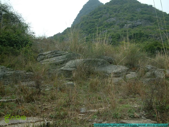 20150222-灵川-凤凰岭-狮子山-潭下镇（户外情缘）DSCF0063