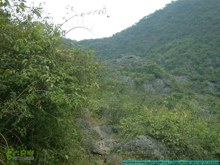 20150222-灵川-凤凰岭-狮子山-潭下镇（户外情缘）DSCF0082