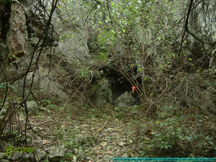 20150222-灵川-凤凰岭-狮子山-潭下镇（户外情缘）DSCF0090