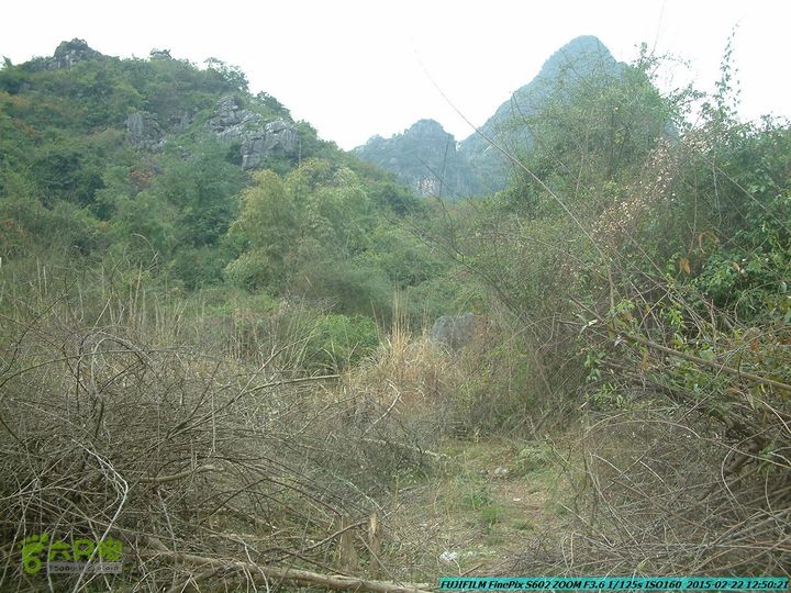 20150222-灵川-凤凰岭-狮子山-潭下镇（户外情缘）DSCF0110