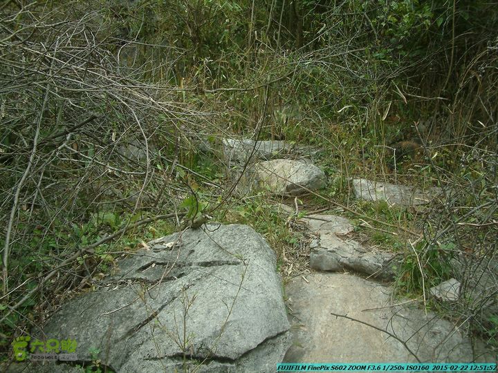 20150222-灵川-凤凰岭-狮子山-潭下镇（户外情缘）DSCF0111