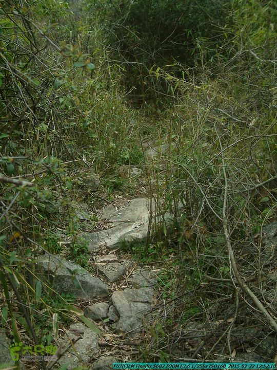 20150222-灵川-凤凰岭-狮子山-潭下镇（户外情缘）DSCF0112