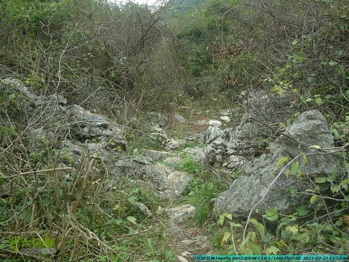 20150222-灵川-凤凰岭-狮子山-潭下镇（户外情缘）DSCF0114