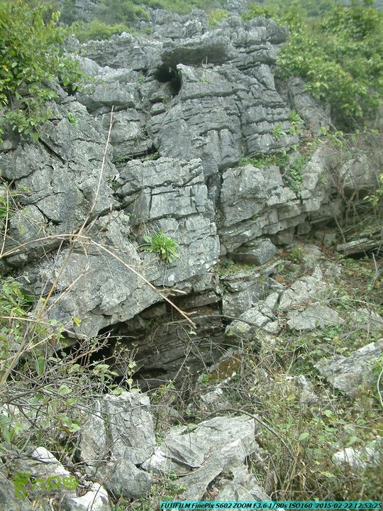 20150222-灵川-凤凰岭-狮子山-潭下镇（户外情缘）DSCF0116