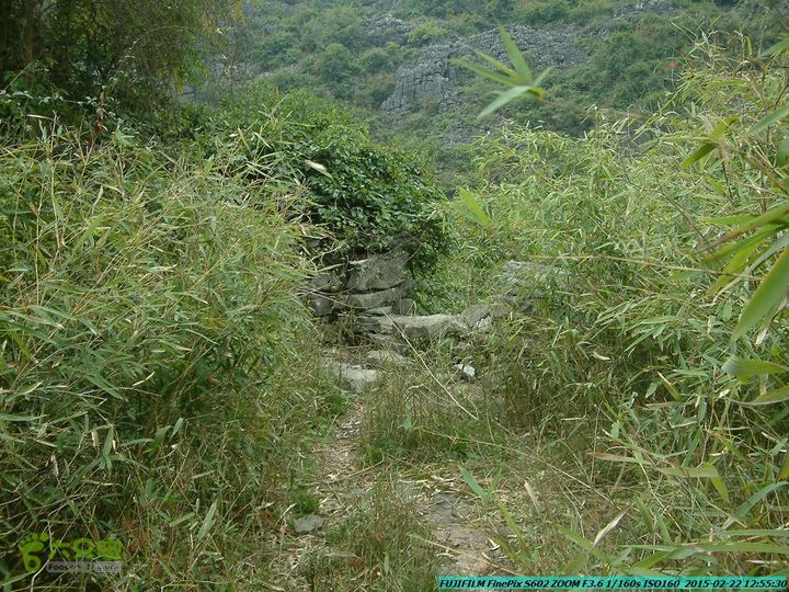 20150222-灵川-凤凰岭-狮子山-潭下镇（户外情缘）DSCF0118