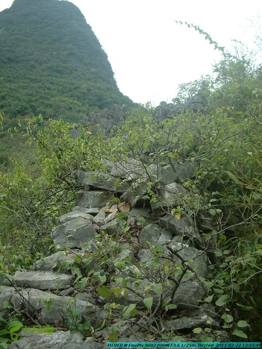20150222-灵川-凤凰岭-狮子山-潭下镇（户外情缘）DSCF0119