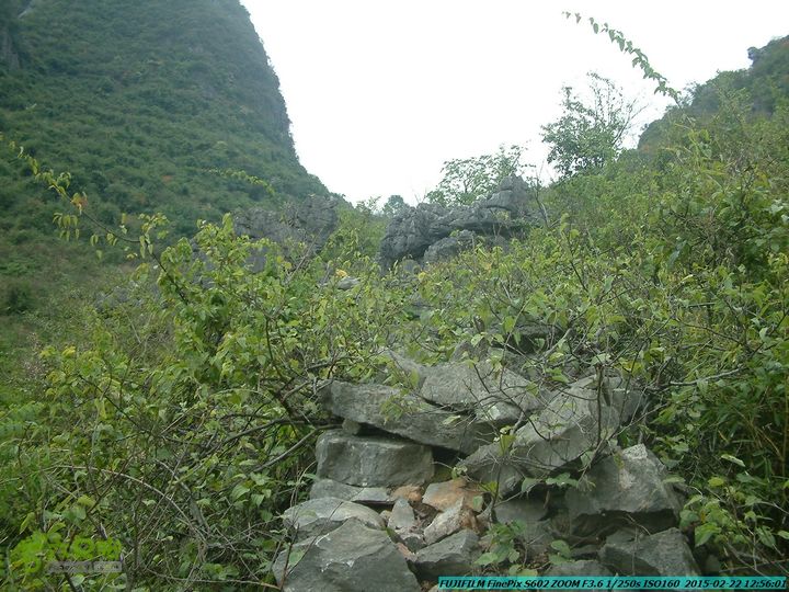 20150222-灵川-凤凰岭-狮子山-潭下镇（户外情缘）DSCF0120