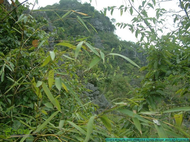 20150222-灵川-凤凰岭-狮子山-潭下镇（户外情缘）DSCF0121