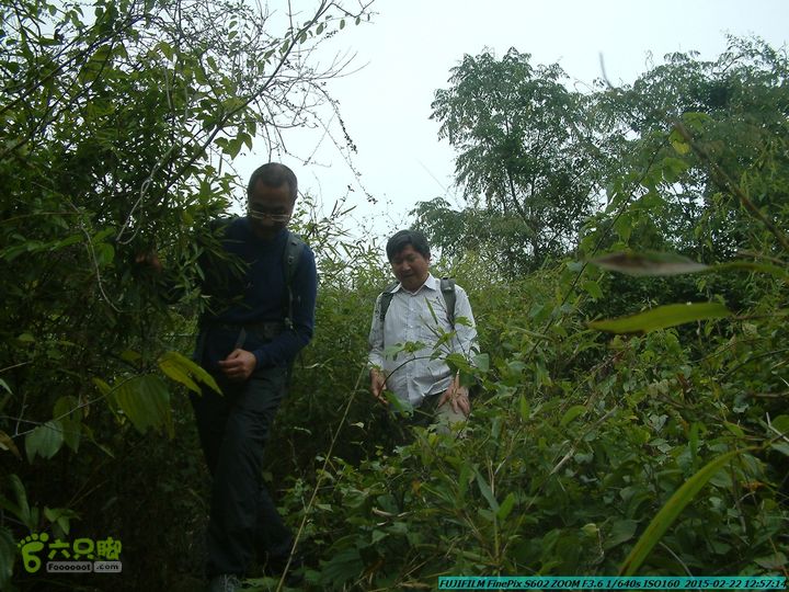 20150222-灵川-凤凰岭-狮子山-潭下镇（户外情缘）DSCF0123