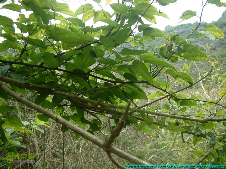 20150222-灵川-凤凰岭-狮子山-潭下镇（户外情缘）DSCF0125