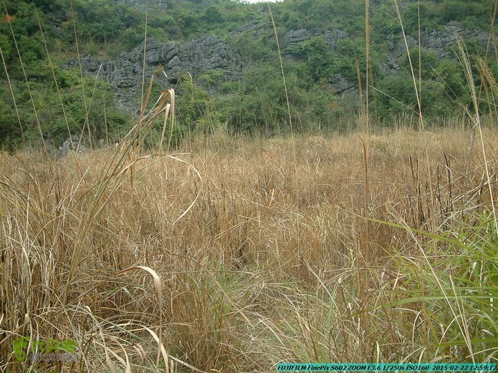 20150222-灵川-凤凰岭-狮子山-潭下镇（户外情缘）DSCF0126