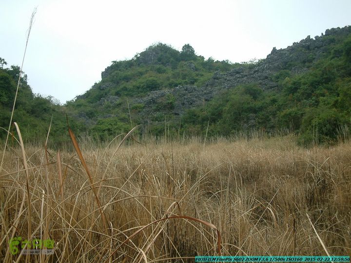 20150222-灵川-凤凰岭-狮子山-潭下镇（户外情缘）DSCF0127