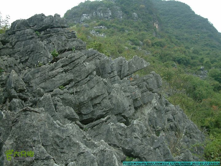 20150222-灵川-凤凰岭-狮子山-潭下镇（户外情缘）DSCF0132