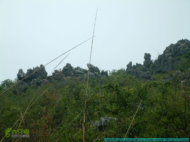 20150222-灵川-凤凰岭-狮子山-潭下镇（户外情缘）DSCF0141