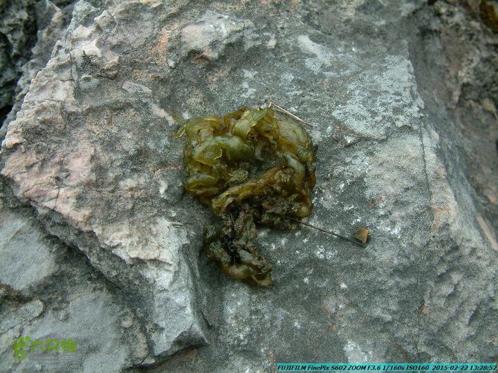 20150222-灵川-凤凰岭-狮子山-潭下镇（户外情缘）DSCF0155