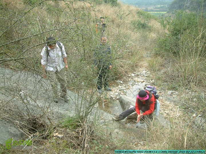 20150222-灵川-凤凰岭-狮子山-潭下镇（户外情缘）DSCF0160
