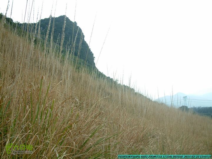 20150222-灵川-凤凰岭-狮子山-潭下镇（户外情缘）DSCF0165
