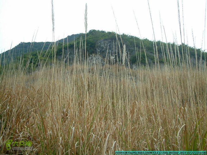 20150222-灵川-凤凰岭-狮子山-潭下镇（户外情缘）DSCF0166