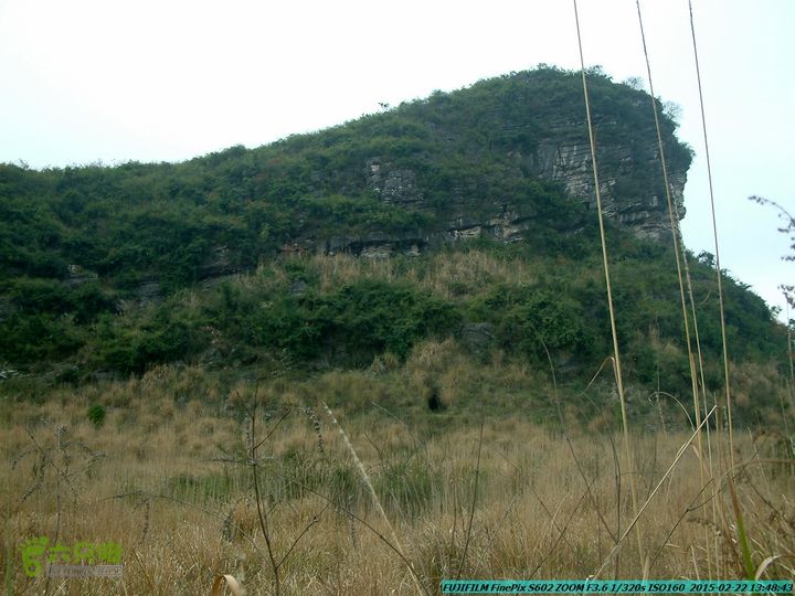 20150222-灵川-凤凰岭-狮子山-潭下镇（户外情缘）DSCF0167