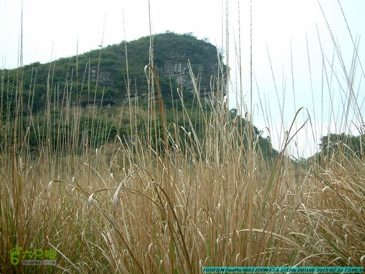 20150222-灵川-凤凰岭-狮子山-潭下镇（户外情缘）DSCF0168